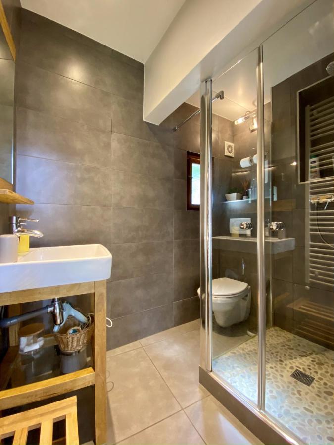 Les Echoppes Apartment Annecy Bagian luar foto