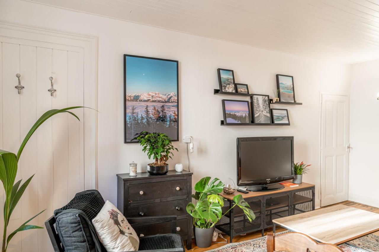 Les Echoppes Apartment Annecy Bagian luar foto